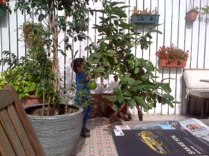A lovely garden cafe in Cihangir